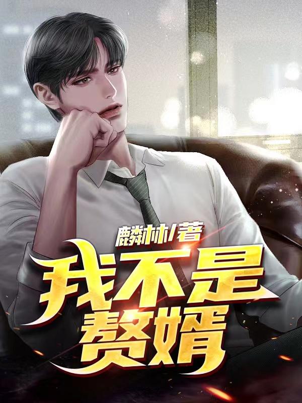我不是赘婿