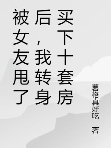 被女友甩了后,我转身买下十套房